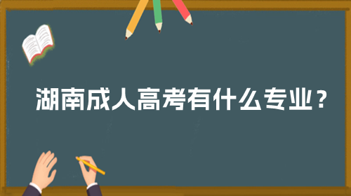 湖南成人高考有什么专业？