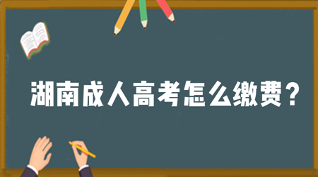 湖南成人高考怎么缴费？