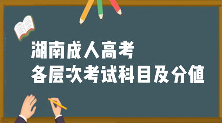 湖南成人高考各层次考试科目及分值