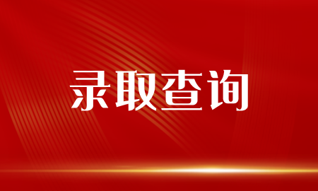 2024湖南成人高考录取结果查询通知入口